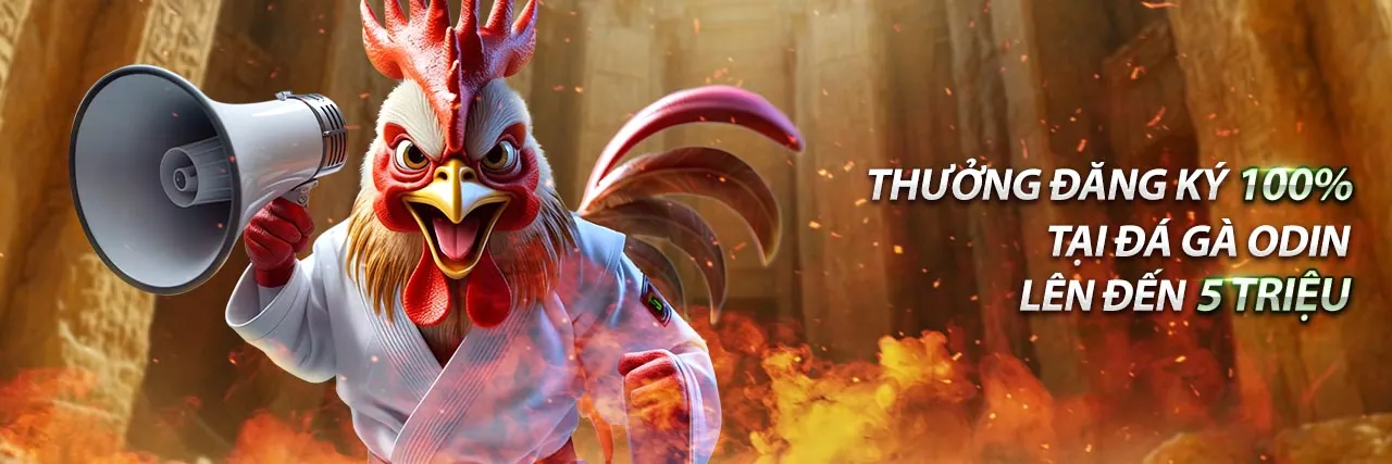 Hình ảnh tổng quan về trực tiếp đá gà Campuchia hôm nay