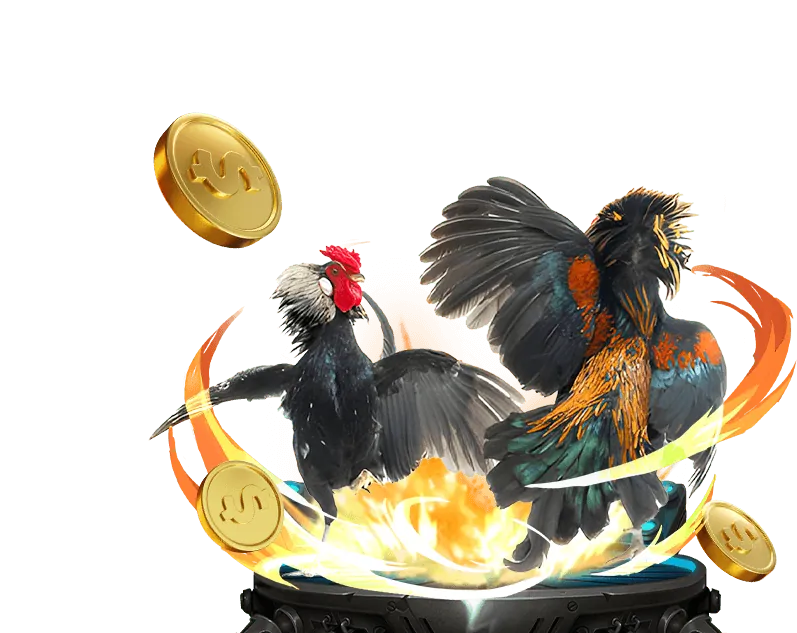 Nền tảng đá gà trực tuyến an toàn và công bằng