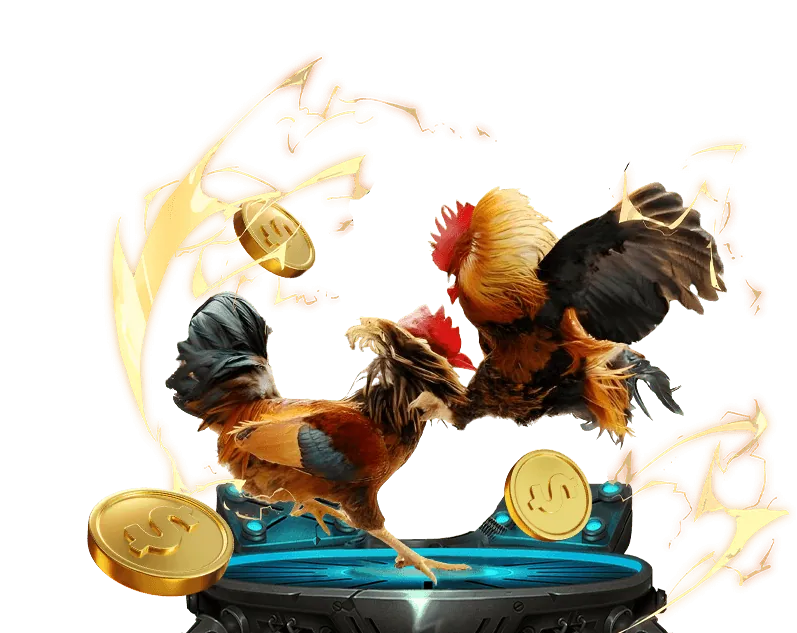 Hình ảnh minh họa việc thu thập dữ liệu cá nhân an toàn để cung cấp dịch vụ đá gà trực tuyến